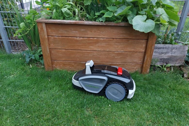 H&auml;ufiges M&auml;hen l&auml;sst den Rasen besonders gleichm&auml;&szlig;ig spriesen