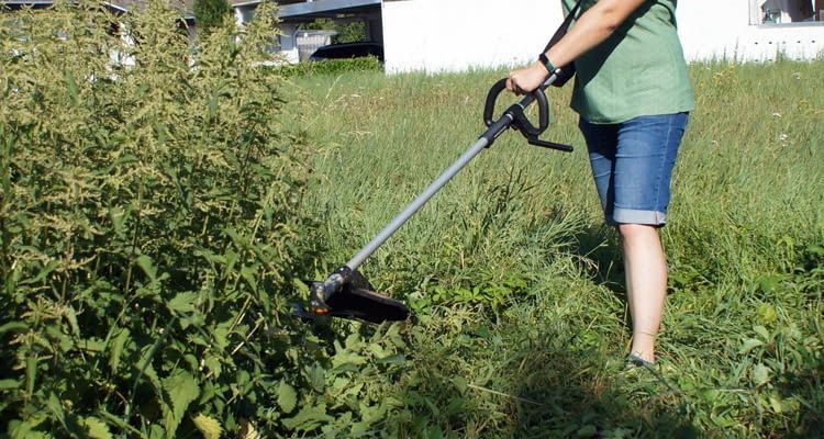 Hier ist Worx Nitro WG186E.92 im Kampf gegen Brennnesseln zu sehen