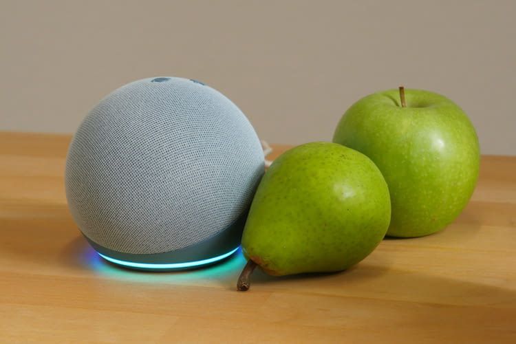 Alle Alexa Lautsprecher (hier Echo Dot 4) lassen sich nach persönlichen Wünschen konfigurieren