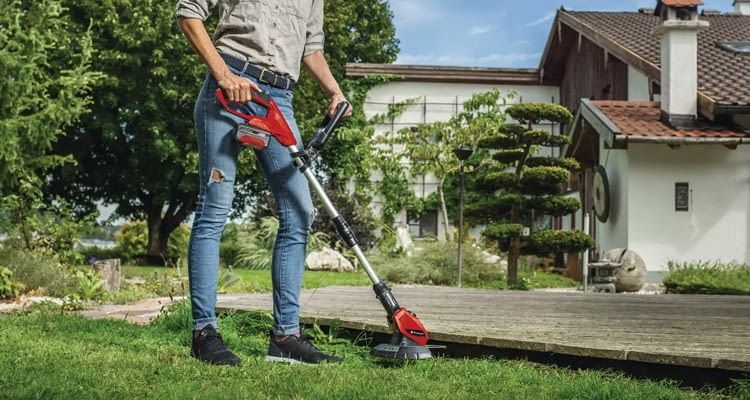 Dieser kabellose Rasentrimmer geh&ouml;rt zu den eher g&uuml;nstigen Modellen