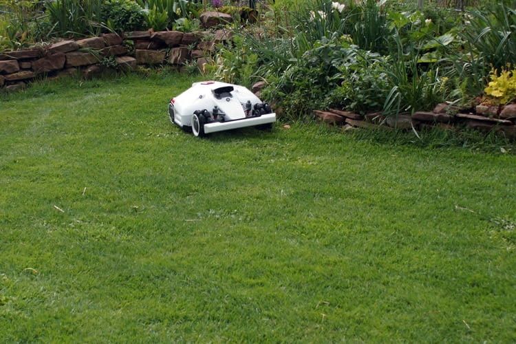 Mähroboter für unebenes Gelände & Hanglage im Test 2024