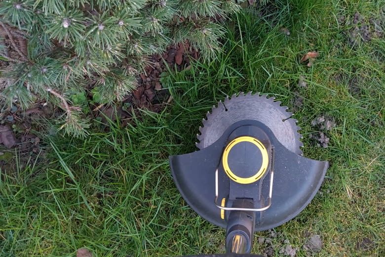 Dieser Akku-Rasentrimmer durchtrennt sogar hartn&auml;ckiges Unkraut wie Brombeerranken