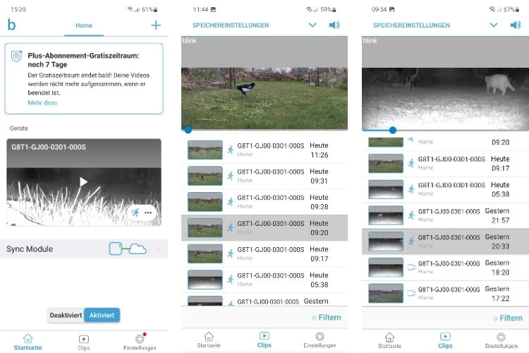Mit der Blink App können die Videoaufnahmen gespeichert und angezeigt werden