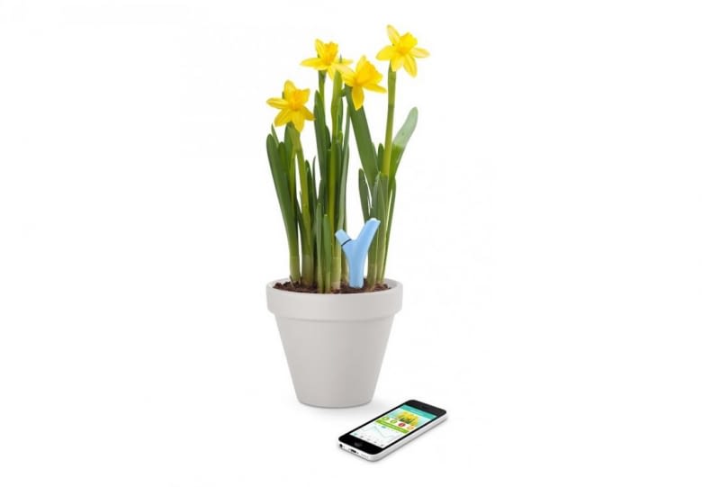 Parrot Flower Power è il sistema intelligente per le piante in vaso