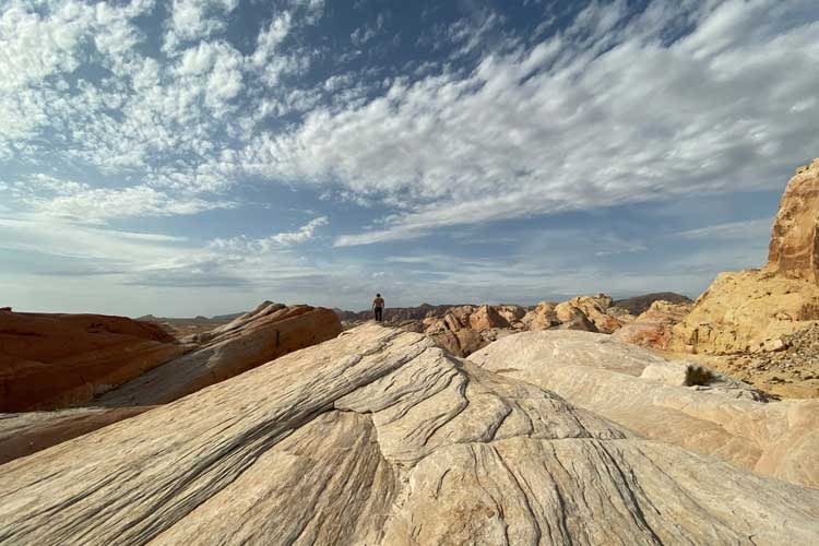In modalità ultra-grandangolare, l'Apple iPhone 11 consente di scattare foto panoramiche ad ampio raggio