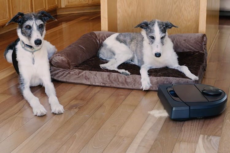 IFA 2018: Neato stellt neue Saugroboter und Zonenreinigung vor