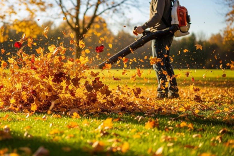 Für große Flächen mit viel Laub empfiehlt sich der Einsatz eines Profigeräts