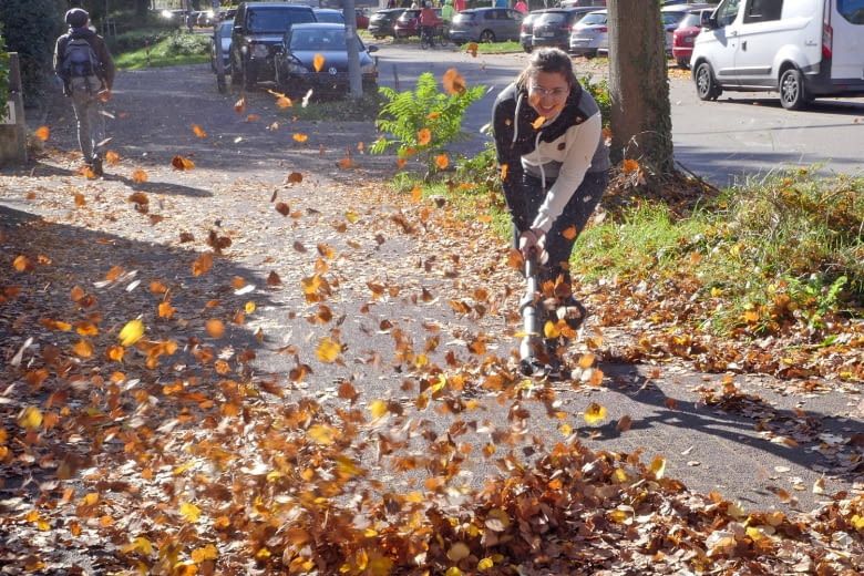 Mit dem Worx Laubbläser ließ sich dieses Laub extem schnell wegpusten