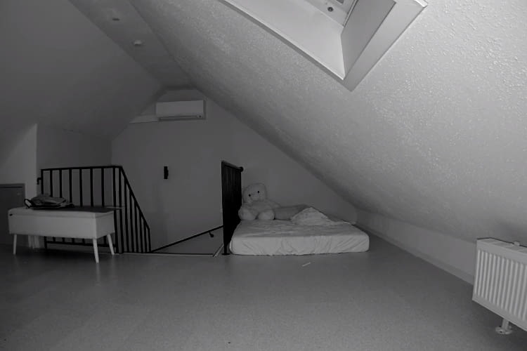 Die Nachtsicht der Arlo ist gut, Farbe gibt es aber keine