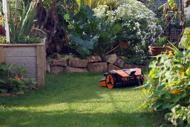 Besonders naturnahe Gärten ziehen Igel an und locken sie daher ungewollt in die Gefahrenzone