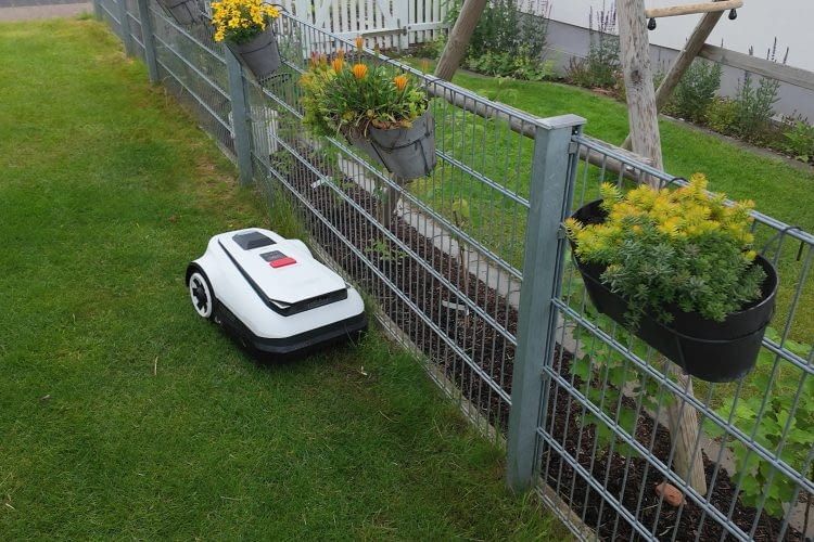 Der GOAT A1600 RTK fuhr zwar bis an den Zaun, aufgrund seiner Bauweise blieben aber zwischen 5 und 10 Zentimeter an Rasen stehen