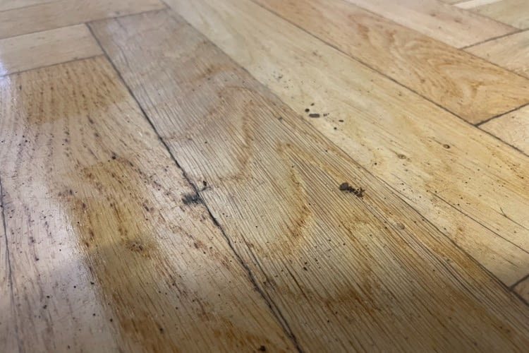 Aufgrund der falschen KI Erkennung blieben deutliche Reste