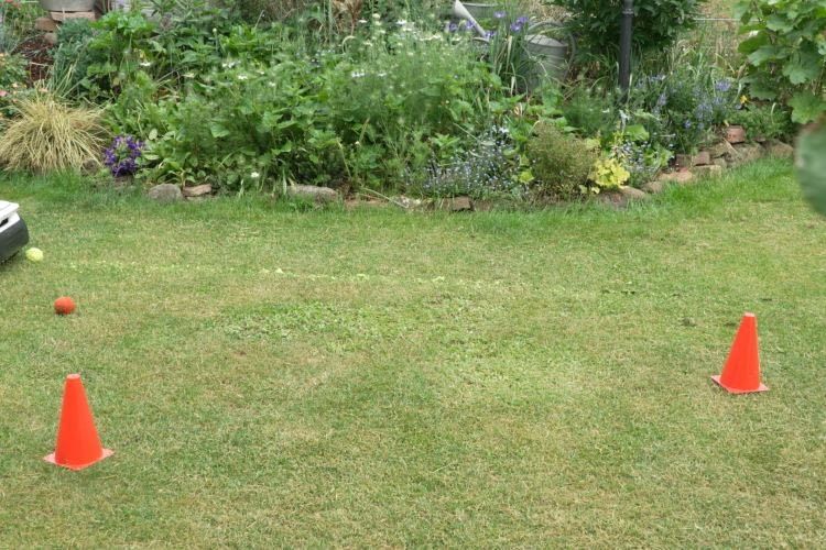 Der Tennisball wurde vom GOAT A1600 RTK nie erkannt und einmal sogar über den Rasen mitgezogen