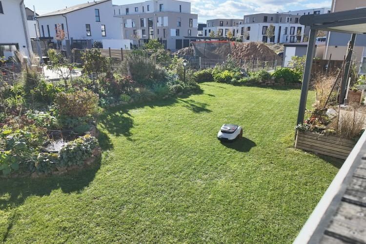 Auf der Fl&auml;che zeigte der i210 ein perfektes M&auml;hergbnis