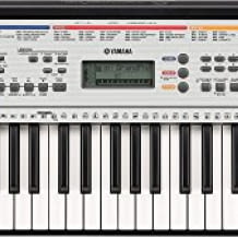 61 tastiges, tragbares Keyboard mit vielfältigen Lernfunktionen und Klängen. Mit Hör-, Timing- und Wartemodus.