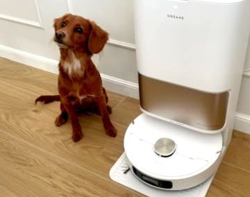 on Mova bis Dreame: Welche Saugroboter Tierhaare wirklich aufnehmen