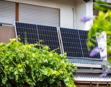 Pflanzen können den Solarstrom-Ertrag durch Verschattung stark reduzieren