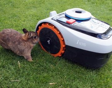 Wenn Tiere frei im Garten laufen, ist Vorsicht geboten