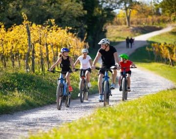 E-Bikes lassen sich grob in vier Modelle unterteilen. Wir erklären wo die Unterschiede sind