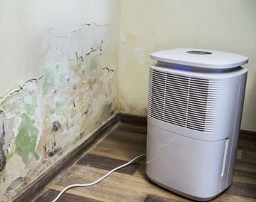 Ein Luftreiniger kann Schimmelsporen aus der Luft beseitigen