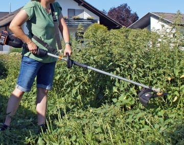 In unserem Test meisterten nur Modelle mit Schneidklingen diese hohen Brennnesseln