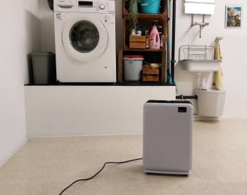 Luftentfeuchter sorgen für optimales Raumklima in Werkstatt, Wäschekeller und Co.