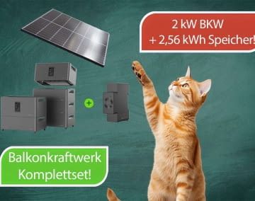 Im Juni wartet ein irrer Fang auf alle Angebots-Jäger