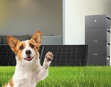 Bei diesem Starter-Set können auch Anfänger direkt loslegen