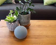 Wir erklären, wie Nutzer Echo Lautsprecher aus der Alexa Geräteliste entfernen