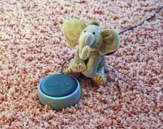 Den Echo als Alexa Babyphone zu nutzen ist einfach und kostenlos möglich