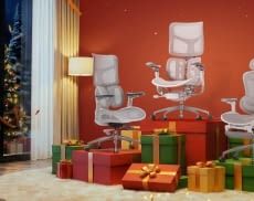 Bei Sihoo gibt es tolle Rabatte zu Weihnachten