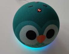 Um Alexa zurückzusetzen, muss lediglich die Aktionstaste länger gedrückt werden. Bei anderen Modellen die Leise- und Stummtaste