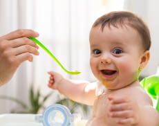 Mit einem Babynahrungszubereiter lässt sich gesunde Kost selbst zubereiten