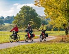 Bei Anbieter rebike gibt es eine Auswahl an vielen verschiedenen E-Bike Marken