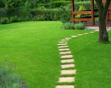 Wege setzen Akzente in jedem Garten, doch stellen Mähroboter-Besitzer vor Herausforderungen