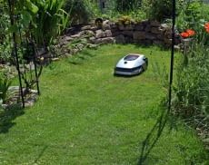 Ein Rasenroboter kann den Rasen bei richtiger Anwendung zuverlässig pflegen