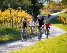 E-Bikes lassen sich grob in vier Modelle unterteilen. Wir erklären wo die Unterschiede sind