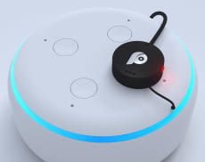 Alexa Die Lustigsten Und Hilfreichsten Befehle