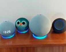 Unsere Alexa Easter Eggs lassen sich mit jedem Echo Gerät abrufen