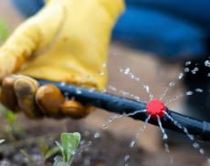 Bewässerungssysteme sparen Wasser und wässern automatisch, auch bei längerer Abwesenheit der Anwender.