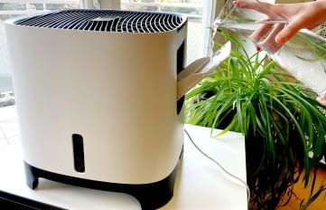 Im elektrische Luftbefeuchter Test 2026 nehmen wir die besten Modelle unter die Lupe