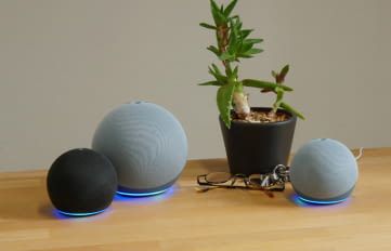 Die Alexa Sprachsoftware ist auf vielen Echo Lautsprechern und immer mehr Haushaltsgeräten zu finden