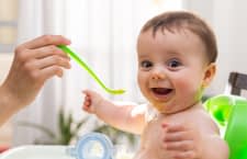 Mit einem Babynahrungszubereiter lässt sich gesunde Kost selbst zubereiten