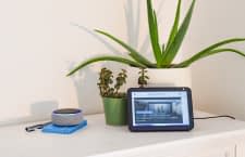 echo-dot-gewinnspiel