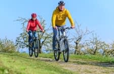 E-Bikes im Vergleich: Trekking, Mountain, City und Rennrad – die Unterschiede auf einen Blick.