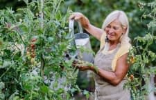 Wir wissen, was Gartenliebhabern wirklich Freude bereitet