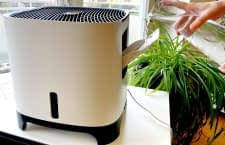 Im elektrische Luftbefeuchter Test 2026 nehmen wir die besten Modelle unter die Lupe