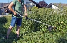 In unserem Test meisterten nur Modelle mit Schneidklingen diese hohen Brennnesseln