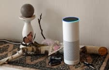 Begonnen hat alles mit diesem Echo der 2. Generation, inzwischen steht bei uns die gesamte Echo Produktfamilie