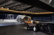 Augen auf beim Saugerkauf: Der Frühjahrsputz bei MediaMarkt bietet satte Rabatte!